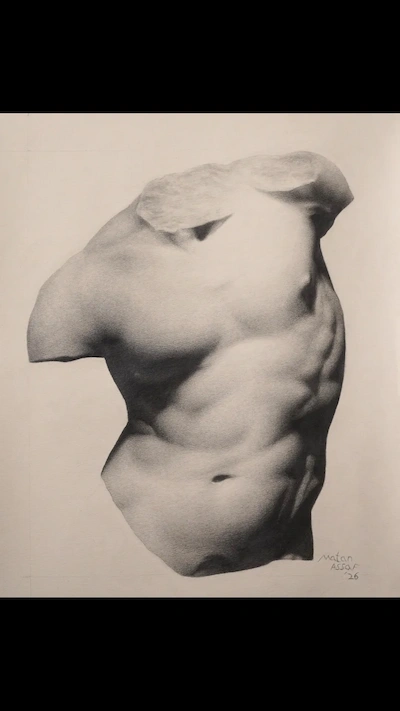 Torso Gaddi pencil study Greek sculpture